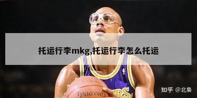 托运行李mkg,托运行李怎么托运