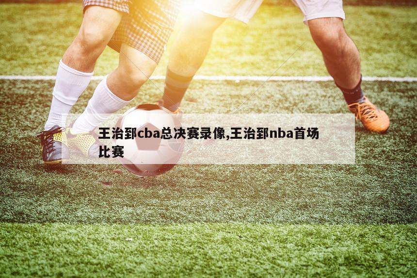 王治郅cba总决赛录像,王治郅nba首场比赛