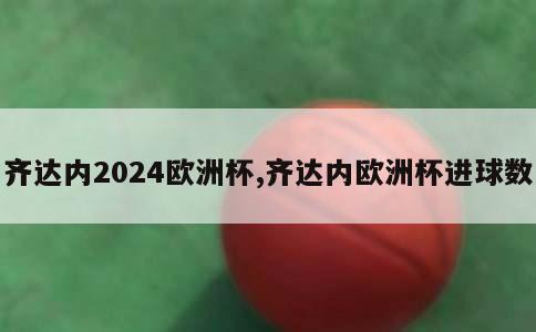 齐达内2024欧洲杯,齐达内欧洲杯进球数