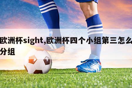 欧洲杯sight,欧洲杯四个小组第三怎么分组