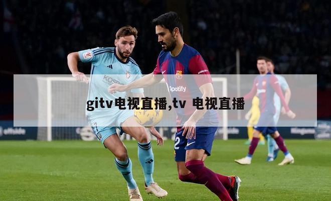 gitv电视直播,tv 电视直播