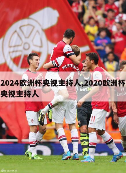 2024欧洲杯央视主持人,2020欧洲杯央视主持人