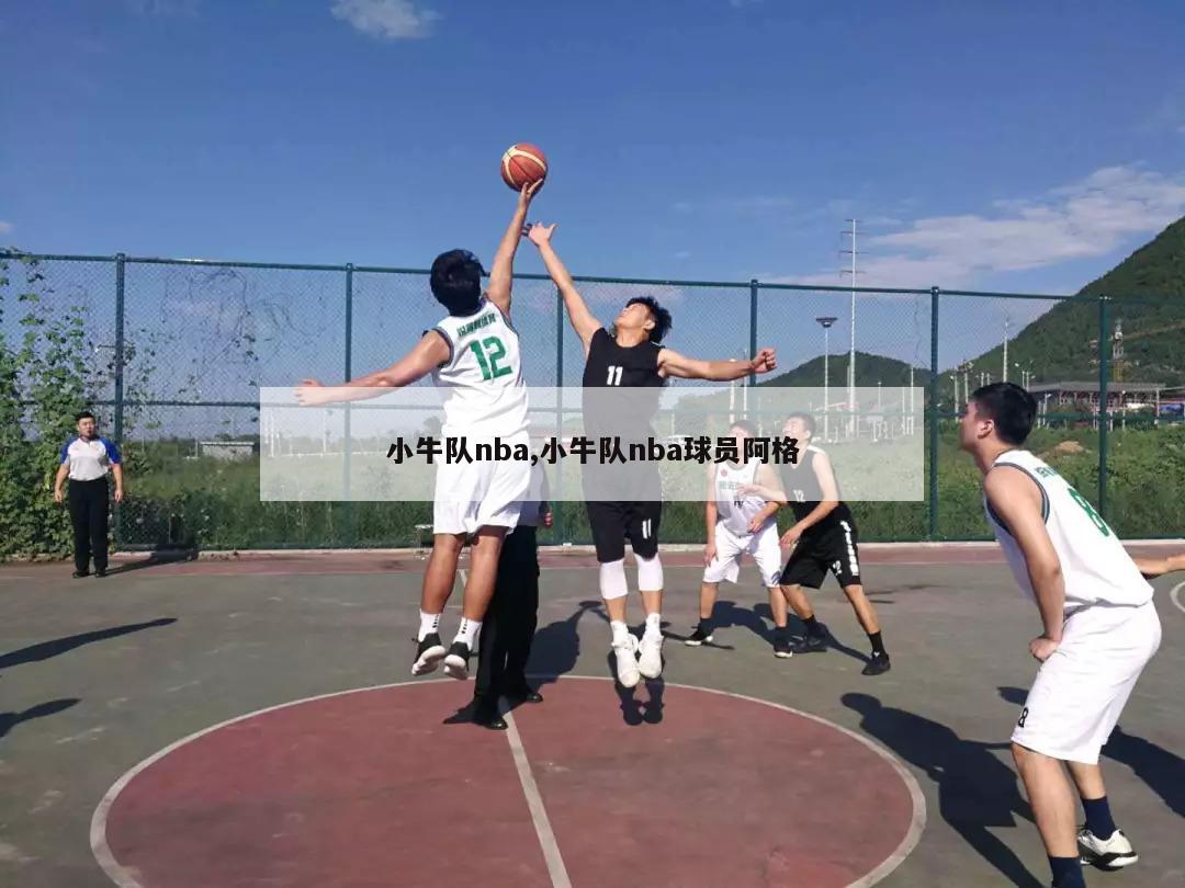 小牛队nba,小牛队nba球员阿格