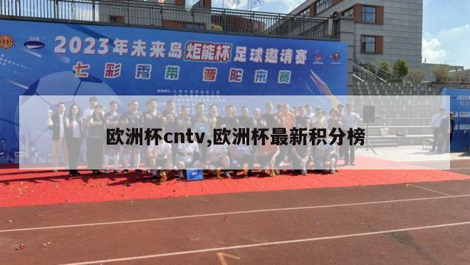 欧洲杯cntv,欧洲杯最新积分榜