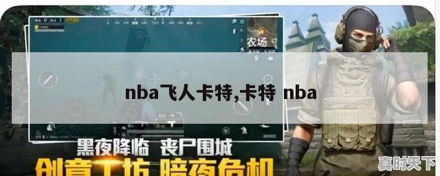 nba飞人卡特,卡特 nba