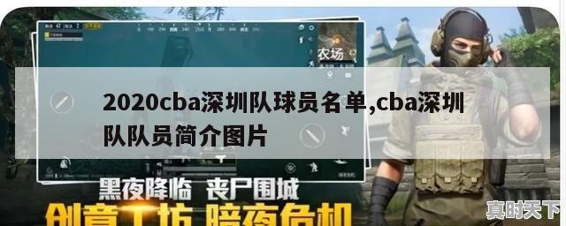 2020cba深圳队球员名单,cba深圳队队员简介图片