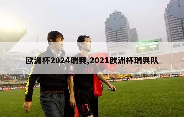 欧洲杯2024瑞典,2021欧洲杯瑞典队