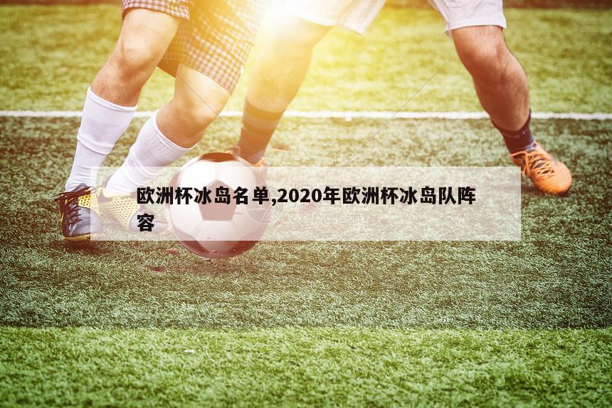 欧洲杯冰岛名单,2020年欧洲杯冰岛队阵容